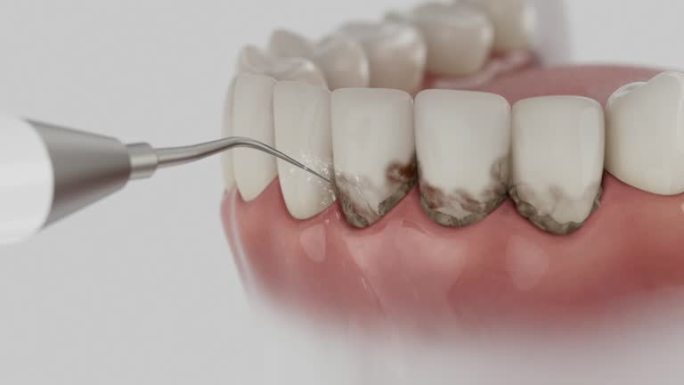 Reliable Dental contractor in Loch Lomond, VA by Dentist Open Now
